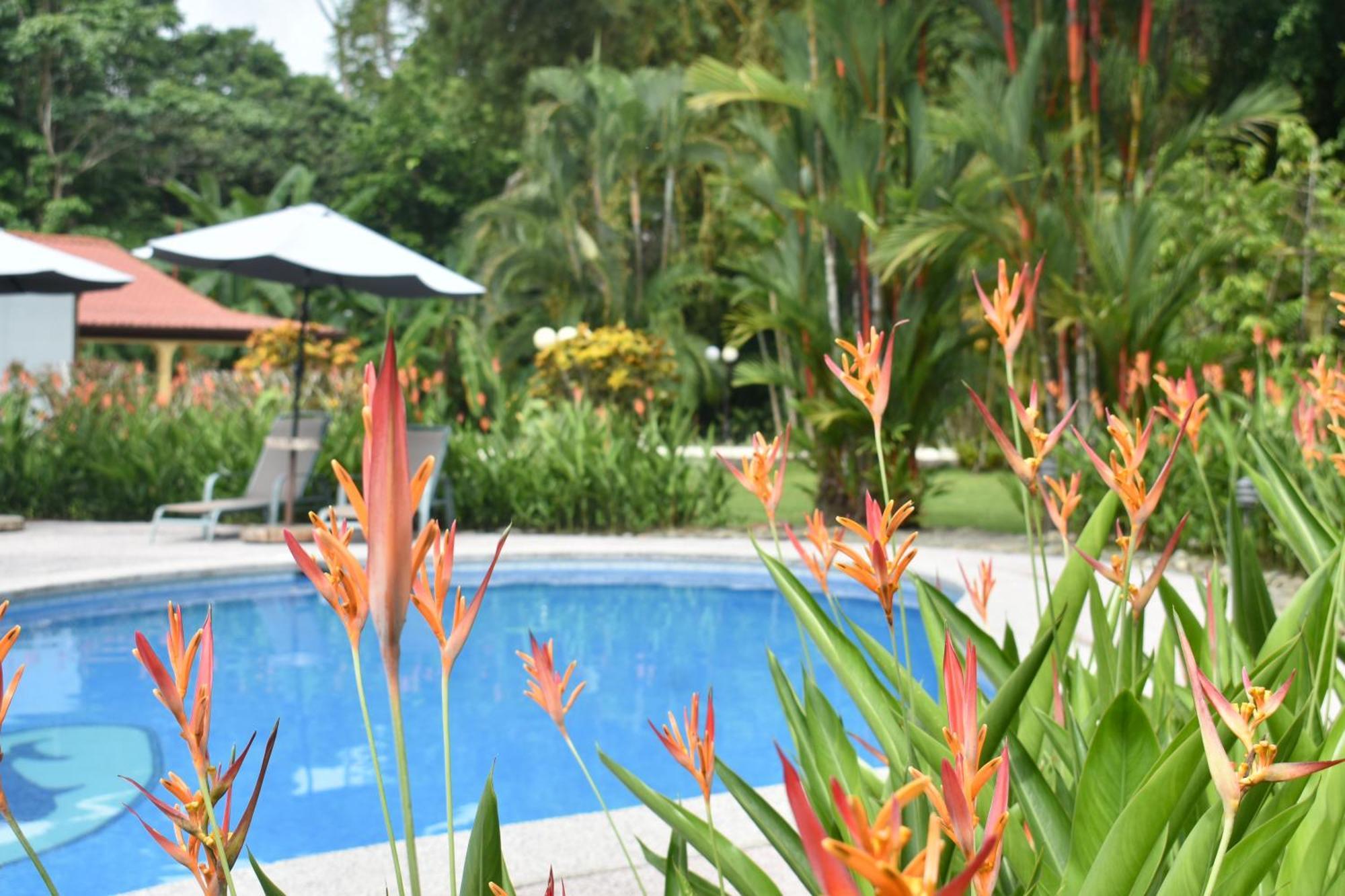Hotel Playa Espadilla & Gardens マヌエル・アントニオ エクステリア 写真