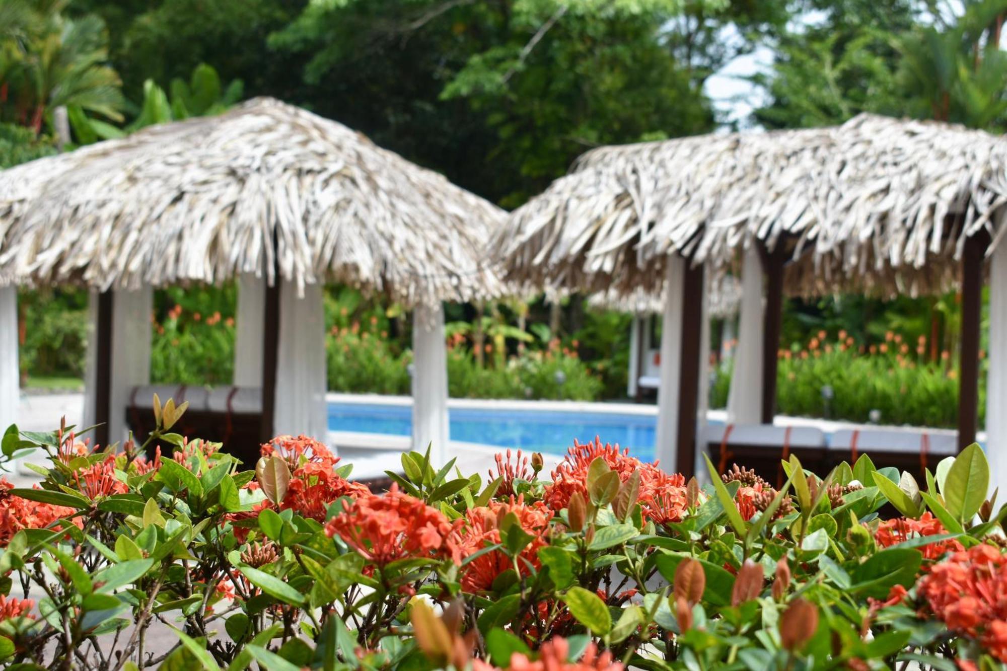 Hotel Playa Espadilla & Gardens マヌエル・アントニオ エクステリア 写真